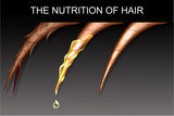Nourishing Hair Oil - Best Hair Oil | Elis Company 