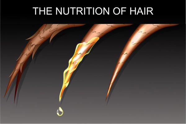 Nourishing Hair Oil - Best Hair Oil | Elis Company 